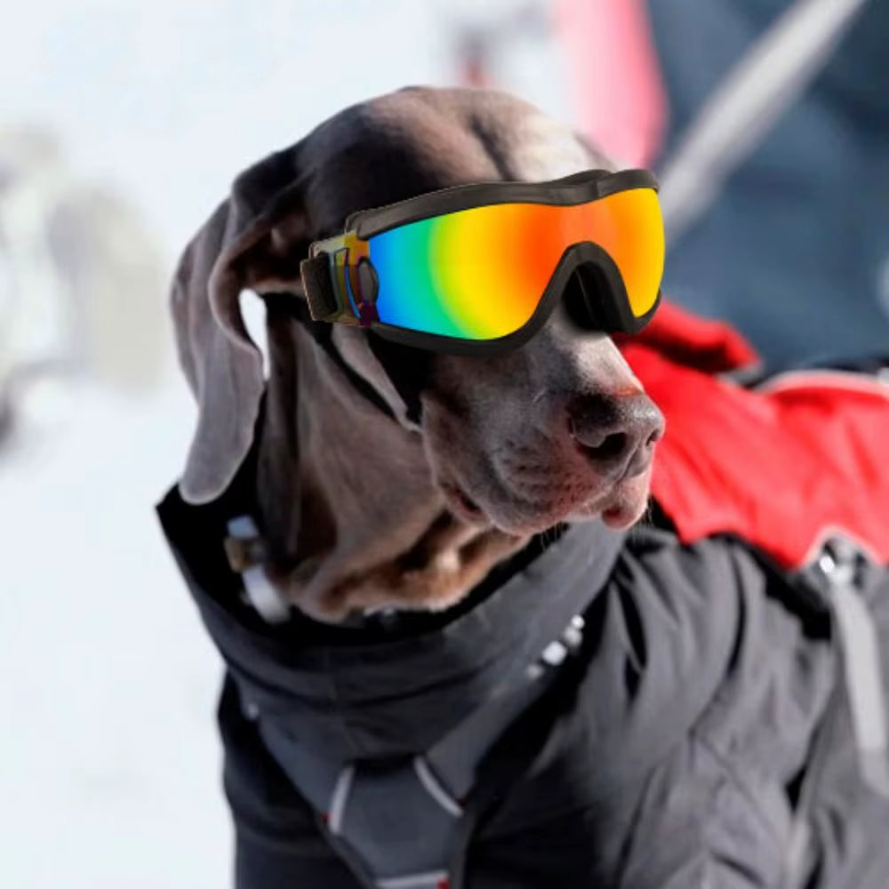 Dog Goggles